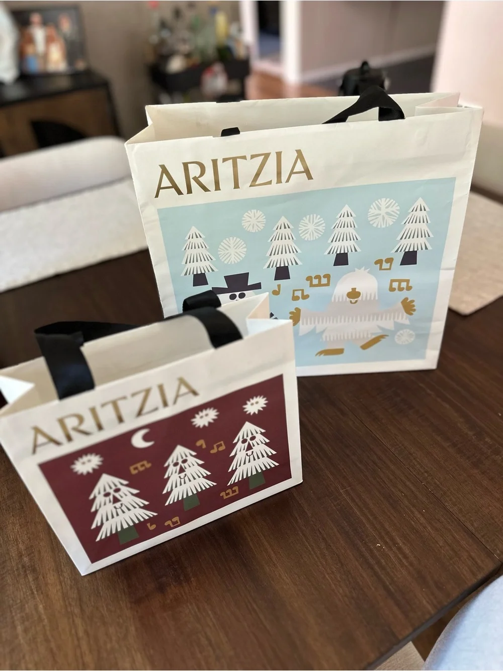 Aritzia Holiday Graphic Gift Bags in Cream, Forest Green & Burgundy